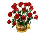 Red roses basket, my gift for all in DN