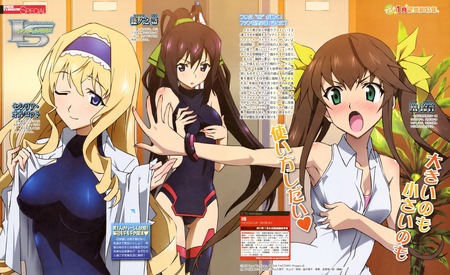 infinite stratos - cecilia orcott, bodysuit, shinonono houki, undressing, fang linyin