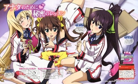 infinite stratos - cecilia orcott, kawasaki aika, valentine, shinonono houki, seifuku