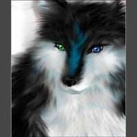 BLUE & GREEN EYED WOLF