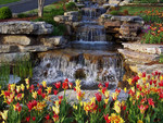 flowers by the waterfalls