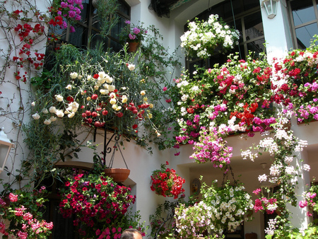 Patio de Flores - flowers, beautiful, fullcolours, patio