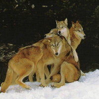 Nothing More Important