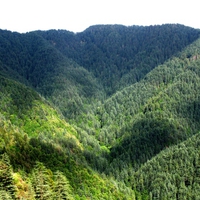 green mountains