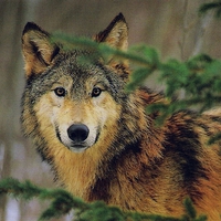 You Lookin At Me . . . .