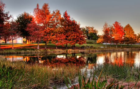 Autumn harmony - beauty, sky, autumn, trees, places, photography, sun, water, sunset, foliage, sesons, lakes, reflection, pond, grass, harmony, lake, landscape, nature, beautiful, leaves, photo