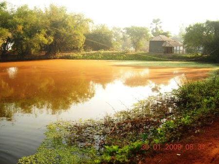 Morning Rays - colorful, sunshine, nature, scenery