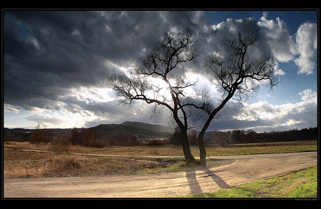 sunset - fields, tree, sunset, clouds