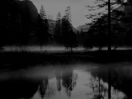 dark nature - trees, water, fog, foggy, gothic, night, darkness, goth, nature, lake, creepy, woods