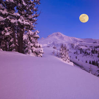 winter moon