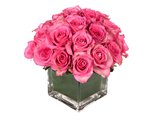 Pink rose in vase