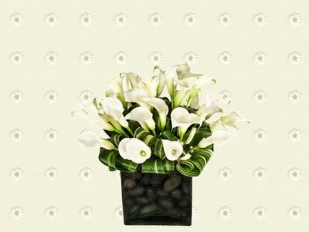 Calas in vase - love, calas, valentine, bouquet, vase, flower