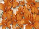 Tiger Lilies