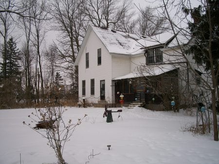 February at my house - house, trees, birds, winter, cold, snow