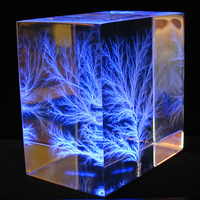 Doubly Irradiated "Windblown Lightning" Sculpture