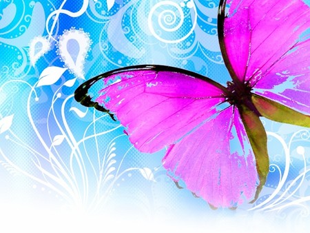 Pink Butterfly - butterfly