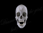 diamond skull