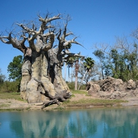 scarecrow tree 