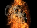 burning skull