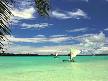 Paradise At Sea Beach !!! - nature, sky, palm tree, cloud, sea, boat