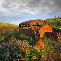 Rusty Landscape