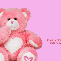 pink teddy