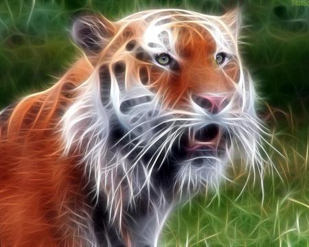 Tiger - big cats, 3d, tiger, wild, cat, animals