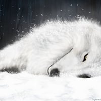 White Wolf