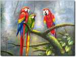 A PARROTS PAINTING