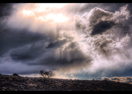 Stormy skies - sky, clouds, tree, darkness, storm