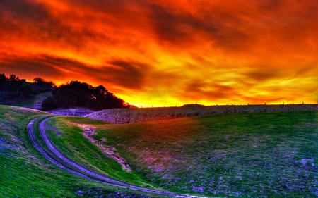 Sunset - sky, trees, nature, sunset