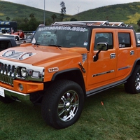 ORANGE HUMMER