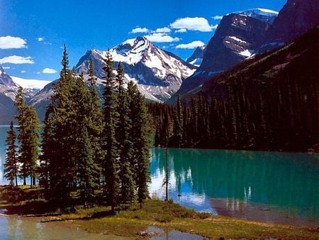 lake in the mountains - forests, trees, water, nature, lake, grass, mountains, sky