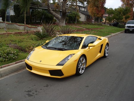 LAMBO GALLARDO - gallardo, lamborghini, outside, yellow, lambo