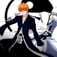 Ichigo & his Hollow