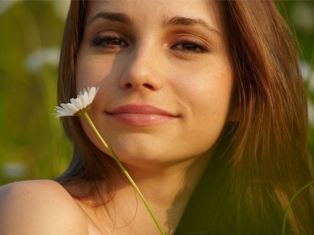 The Flower - beautiful, flower, girl, daisy