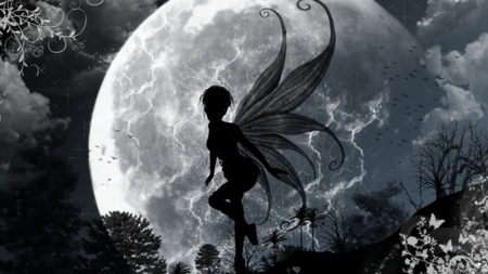 moon fairy - black, fairy, fantasy, white