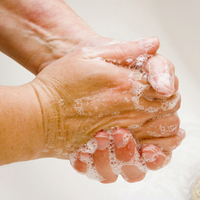 wash hands often