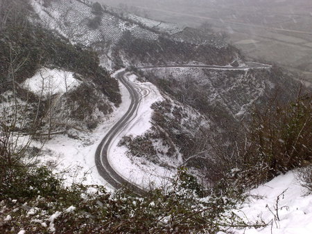 snow road - snow, jungle, road, canyon