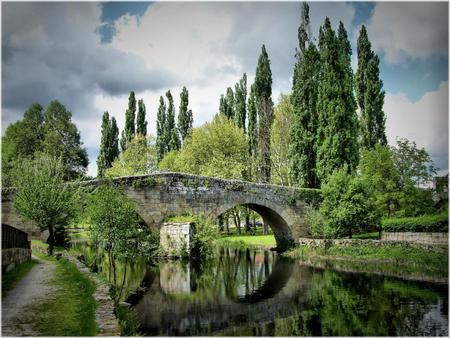 bridge - river, trees, green, bridge