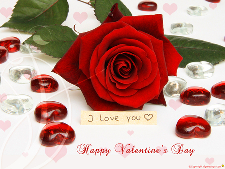 Red rose love - love, ose, valentines, february 14, heart, flower