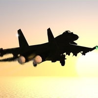 Navy Flanker