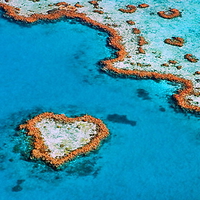 Heart reef