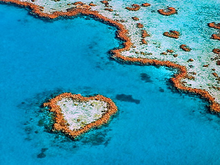 Heart reef - reef, heart shape, blue water, great barrier reef, ocean, nature, australia