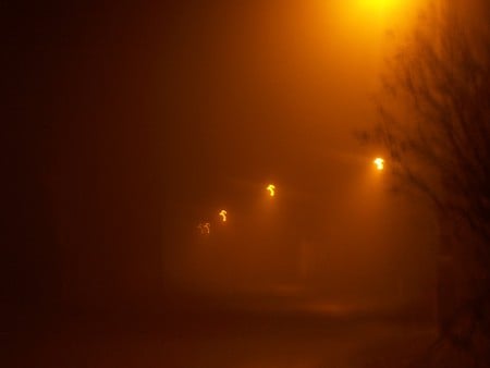 Fog - hungary, mystery, fog, nature