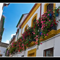 Balcony de Flores