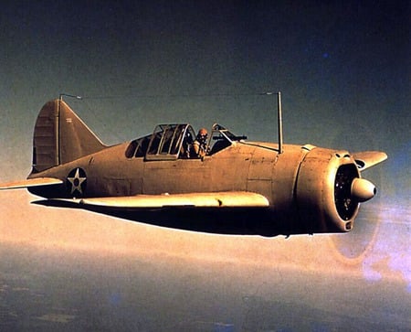 Brewster Buffalo - navy, fighter, brewster, ww2