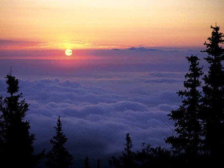 Paradise - sky, cotton, fluffy, trees, sun, mystical, sunset, bellowing, view, colours, clouds, mother nature, distance, dusk, misty