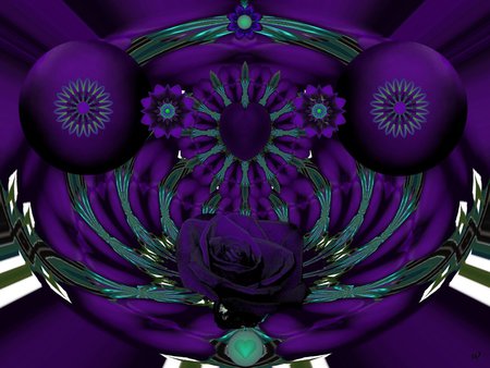 Purple Rose - eye candy, collage, 3d, fractal, abstract