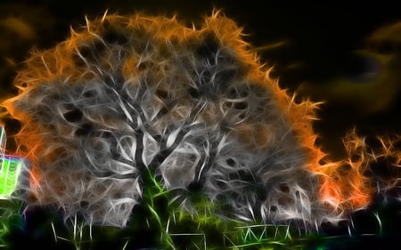 tree - abstract, night, nature, tree